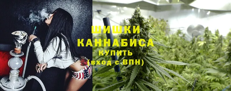 как найти закладки  Кириллов  Шишки марихуана план 